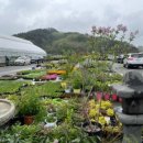 미림주유소 이미지