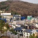 더디바인 네이버블로그