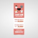 고양이미용연구소 이미지
