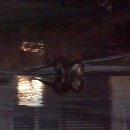 하천(대전천2) 이미지