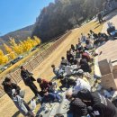 국무원합기도 이미지