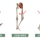 화이트짐 강남점 이미지