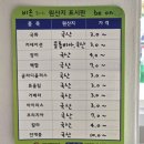 비온플라워 | 양재꽃시장 영업시간 정보 및 꽃다발 구매 후기 - 비온플라워