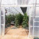 정만농장 이미지