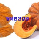 신토불이건강원 이미지