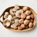 용훈농장 이미지