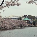 신나라어학원