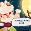 브라운블라썸 이미지