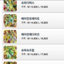 YELLOW PIZZA 이미지