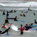 바람불어 좋은날 이미지