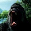 킹콩PC 이미지