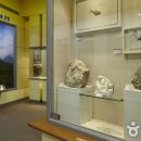 고남패총박물관 이미지