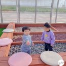 수환농장 이미지