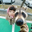 강원도자연환경연구공원 | 홍천 아이랑 어디갈까? 무료 체험 가능한 강원도 자연환경연구공원 솔직 리뷰