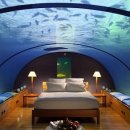 HOTEL. THE STAR 이미지