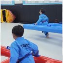 참사랑 태권도장 이미지