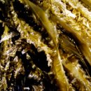 낙원수산 이미지