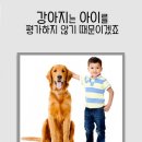 꿈꾸는 동물병원 이미지