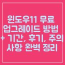 Lotto PC | 윈도우11 무료 업그레이드 방법 + 기간, 후기, 주의사항 완벽 정리