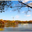 두류공원 이미지