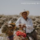 의료법인 청송의료재단 해뜨락요양병원 이미지