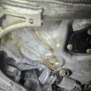 로고스카센타 이미지