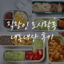 통 | 직장인 도시락통 내돈내산 추천 (+실사용 후기)