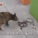 등골농장 뉴스엔