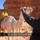 와디럼