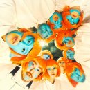 퍼피팝(PUPPY POP) | 어노잉박스(AnnoyingBox) 입문｜대표곡·추천곡·최신근황 2026