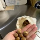 646미터퍼세크 이미지