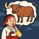 신호 이미지