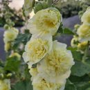 큰돌농장 이미지