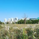 태화강국가정원 이미지