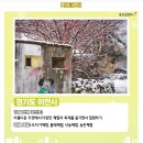 (겨울 당일치기) 겨울에 가볼만한 경기도근교 여행추천 이미지