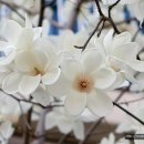 동암재활원 이미지