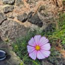 11650-13-10-11 | 24/10/11~13, 제주신라호텔 후기