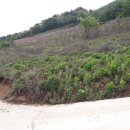 덕산면043 Daum카페