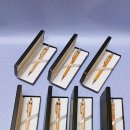 목동 소나무향기 태권도 이미지