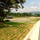 괘릉초등학교 이미지