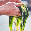 불로초등학교 이미지