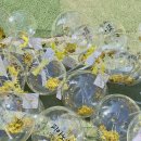 피아노멘토음악학원 이미지