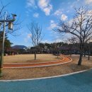 죽림 내죽도공원 네이버블로그