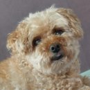 탄리로95번길 이미지