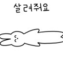 유유헤어 이미지