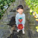 정후농장 이미지