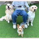 아이조아 요양보호소 경기광주 이미지