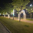 또래예술단 | 2025 만석거 새빛축제』수원의 밤하늘을 불태울 역대급 야경 총정리!