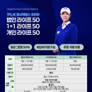 베스트퍼시픽 티스토리