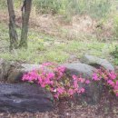 구름산장펜션 이미지